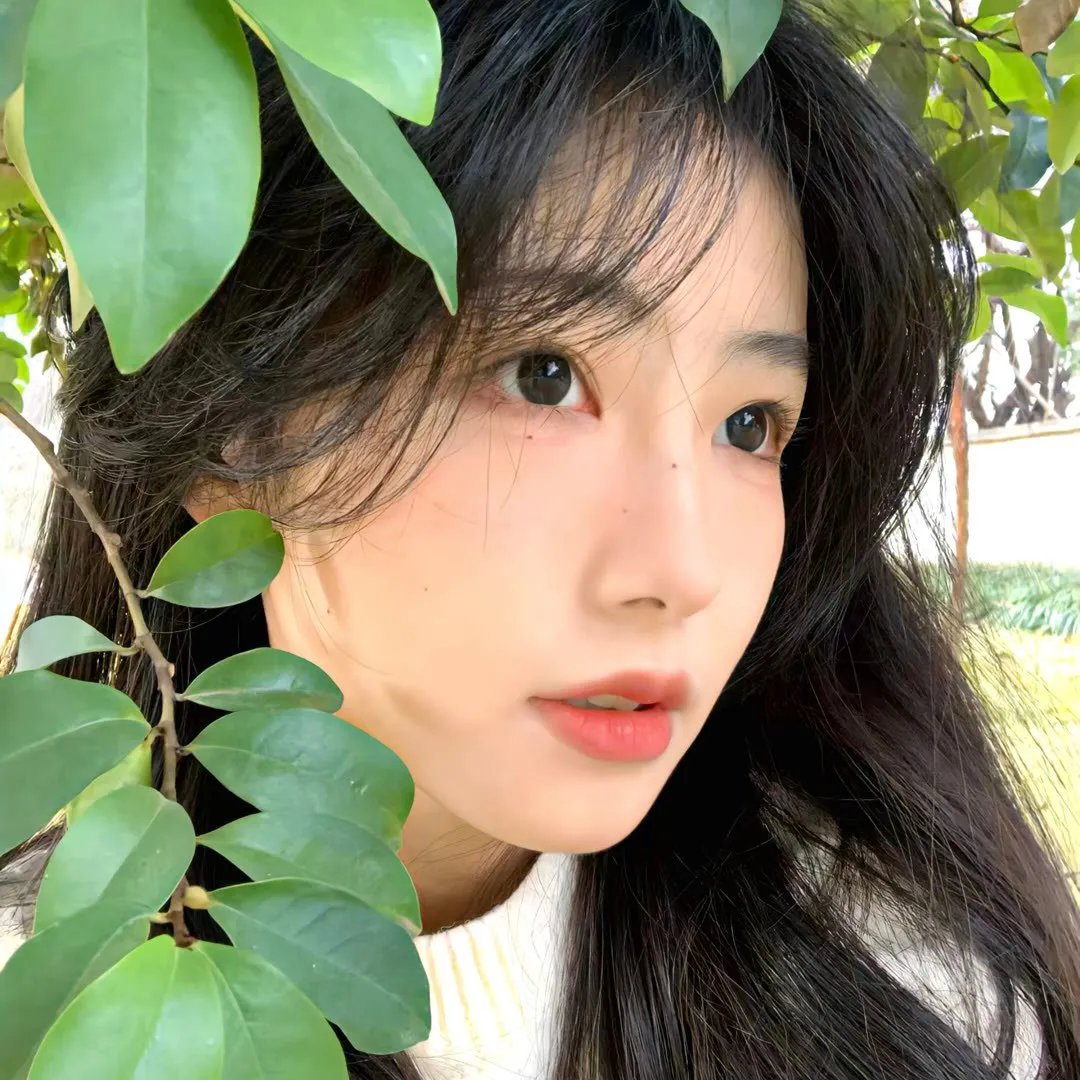 加州套房